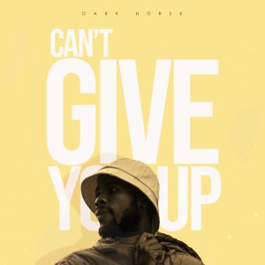 Listen to Can't Give You Up song with lyrics from Dark Horse