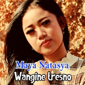 Maya Natasya的专辑Wangine Tresno