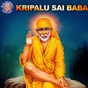 Various Artists的专辑Kripalu Sai Baba