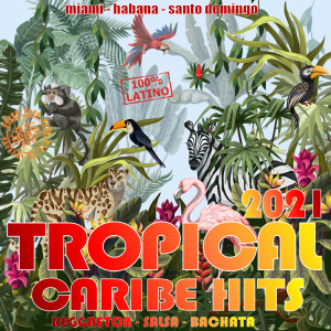 Listen to Demonio (Salsa Version) song with lyrics from Harold Flow