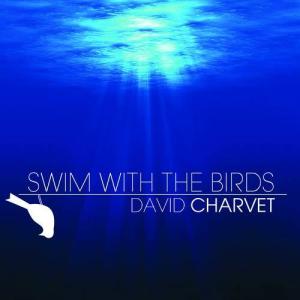 David Charvet的專輯Swim With The Birds