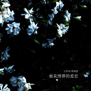 Listen to 被花埋葬的爱恋 song with lyrics from 王忻辰