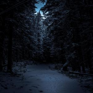 Listen to Lowshit song with lyrics from Slashy
