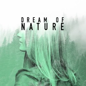 ดาวน์โหลดและฟังเพลง Birds of the Woods พร้อมเนื้อเพลงจาก Outside Broadcast Recordings