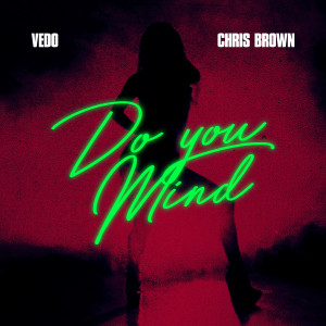 Album Do You Mind from Chris Brown