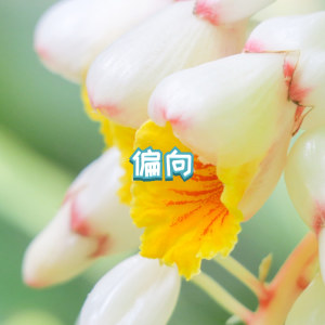 收听陈子婧的偏向歌词歌曲