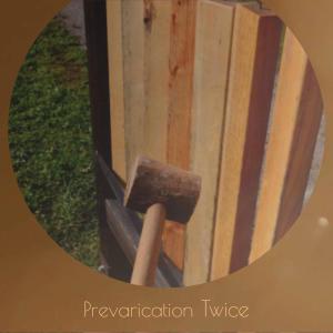 Album Prevarication Twice from Various