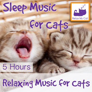 收聽RelaxMyCat的Kitten Music歌詞歌曲
