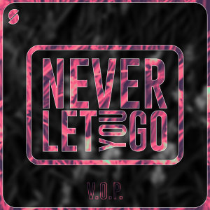 Listen to Never Let You Go song with lyrics from V.O.P.