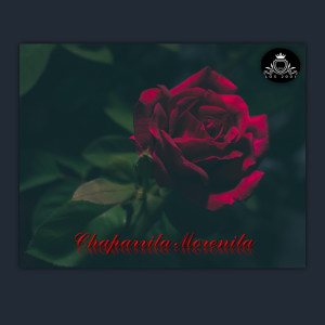 ดาวน์โหลดและฟังเพลง Chaparrita Morenita พร้อมเนื้อเพลงจาก Los 2001