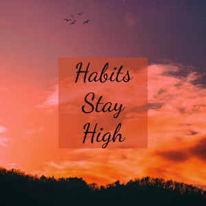 收听Kevin Vasquez的Habits Stay High歌词歌曲
