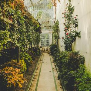 Dengarkan lagu Yoga Lovers nyanyian Pro Sounds of Nature dengan lirik