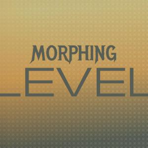 Album Morphing Level from 