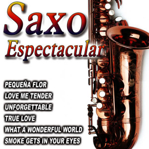 ดาวน์โหลดและฟังเพลง Feelings พร้อมเนื้อเพลงจาก Orquesta Del Saxo
