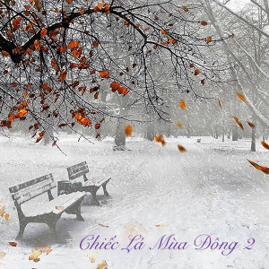 收聽Tam Ca Áo Trắng的Bốn Mùa, Bốn Màu歌詞歌曲