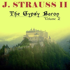 อัลบัม J. Strauss II, The Gypsy Baron, Vol. 2 ศิลปิน Josef Schmidinger