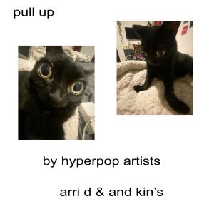 Album pull up (Explicit) from Arid