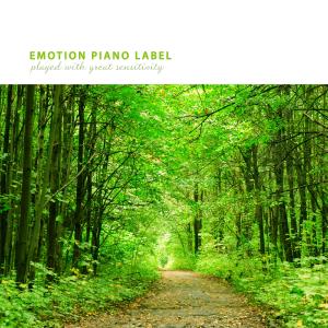 Album Walking with New Age, Vol. 10 from 