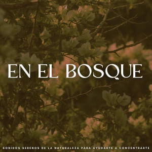 Album En El Bosque: Sonidos Serenos De La Naturaleza Para Ayudarte A Concentrarte from Música de concentración profunda