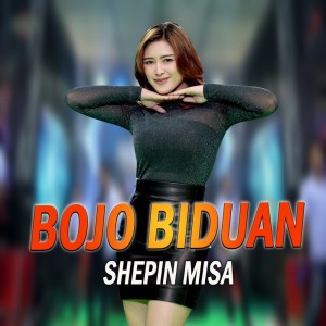 Dengarkan Bojo Biduan lagu dari Shepin MIsa dengan lirik