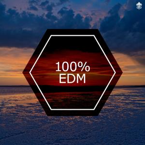 Album 100% EDM oleh Various