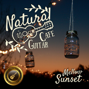 收聽Café Lounge Resort的Nature's Gift歌詞歌曲