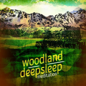 Deep Sleep Meditation的專輯Woodland Deep Sleep Meditation