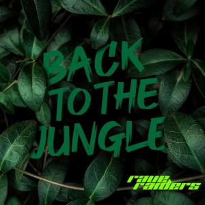 Listen to BACK TO THE JUNGLE song with lyrics from Raveraiders