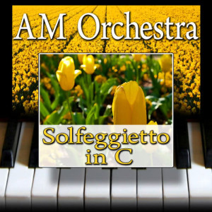 收聽AM Orchestra的Solfeggietto in C歌詞歌曲