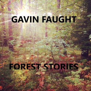 收聽Gavin Faught的Heart of the Woods歌詞歌曲