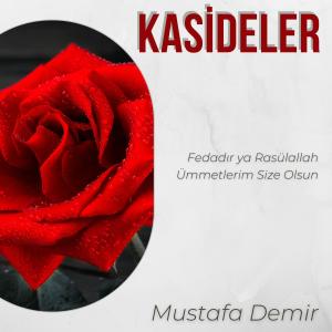 Listen to Fedadır Ya Rasulallah song with lyrics from Mustafa Demir
