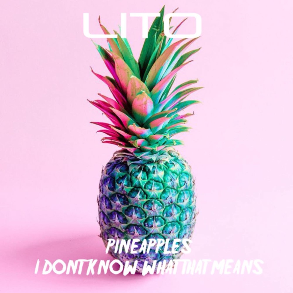 Pineapples I Don't Know What That Means (Radio Edit) (Explicit) (Radio Edit|Explicit)