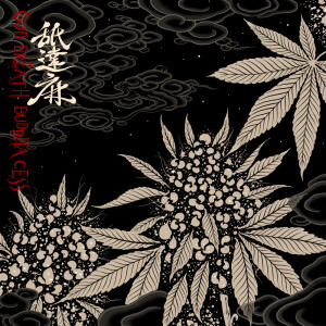 Listen to 100MILLION (feat. BADSAIKUSH) (REMIX|Explicit) song with lyrics from 舐達麻