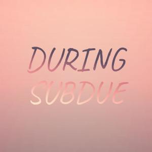 Various的专辑During Subdue