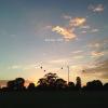 default album img