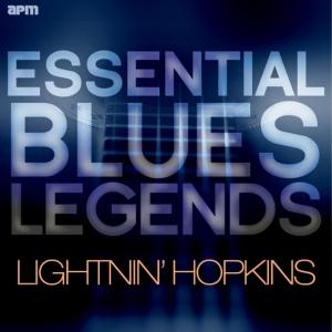 ดาวน์โหลดและฟังเพลง Don't Think 'Cause You´re Pretty พร้อมเนื้อเพลงจาก Lightning Hopkins