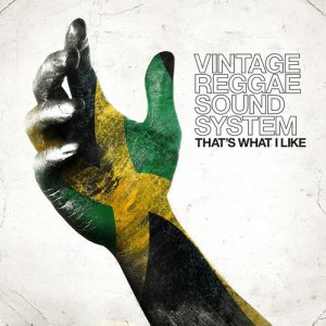 收聽Vintage Reggae Soundsystem的That's What I Like歌詞歌曲