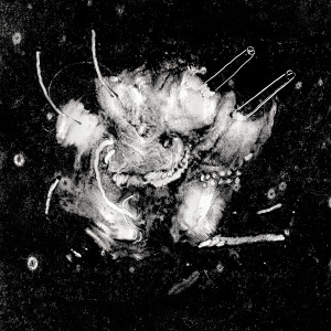 ดาวน์โหลดและฟังเพลง BHAVACHAKRA (Explicit) พร้อมเนื้อเพลงจาก Cameio