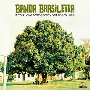 Banda Brasileira的專輯If You Love Somebody Set Them Free