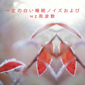 Dengarkan lagu 一定の夜風 nyanyian 睡眠音楽のアカデミー dengan lirik