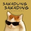 default album img