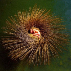 ดาวน์โหลดและฟังเพลง Low Light พร้อมเนื้อเพลงจาก Peter Gabriel