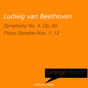 อัลบัม Orange Edition - Beethoven: Symphony No. 4, Op. 60 & Piano Sonatas Nos. 1 &12 ศิลปิน Paul Badura-Skoda