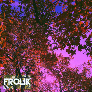 Listen to Feel Your Love song with lyrics from Frolik
