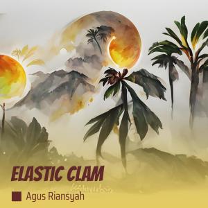 Agus Riansyah的专辑Elastic Clam