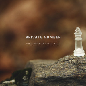 Album Hubungan Tanpa Status oleh Private Number