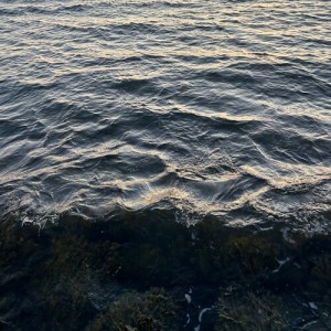 Listen to Dropi í hafi song with lyrics from Una Torfa