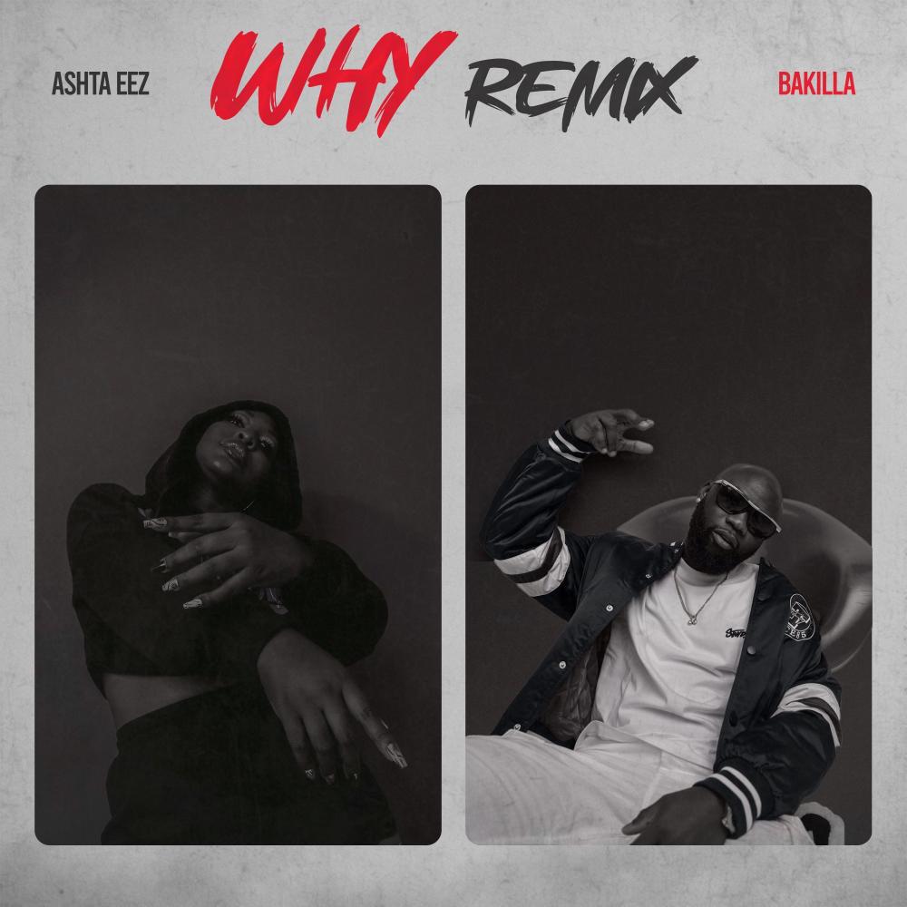 Why (feat. Bakilla) (Remix)