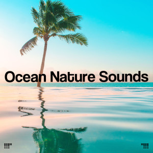 อัลบัม !!!" Ocean Nature Sounds "!!! ศิลปิน Nature Sounds Nature Music