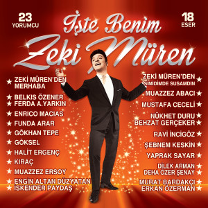 Listen to Bir Gönül Hikayesi song with lyrics from Muazzez Abacı